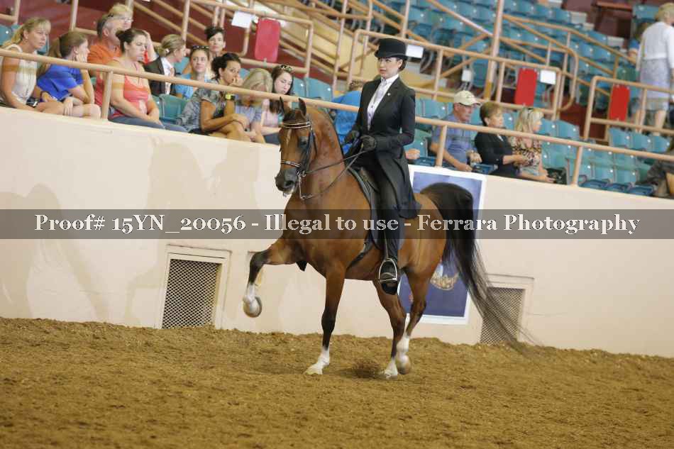 Proof 15YN_20056