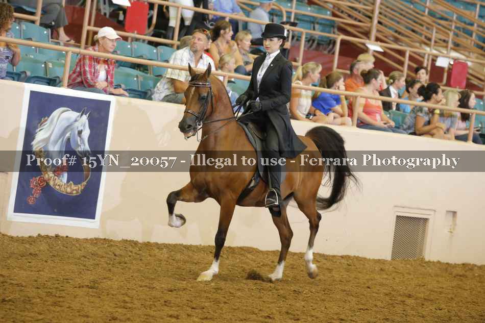 Proof 15YN_20057