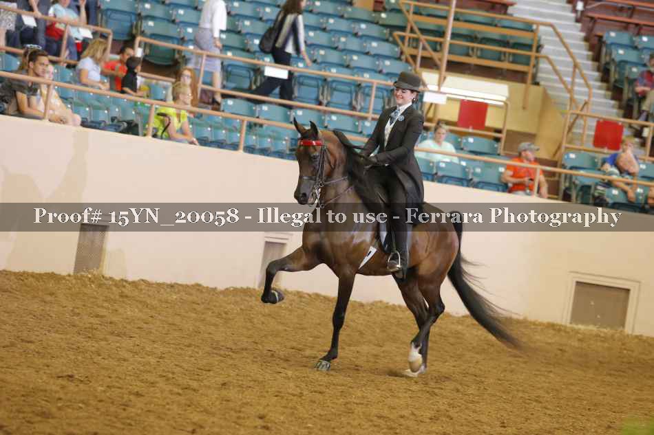 Proof 15YN_20058
