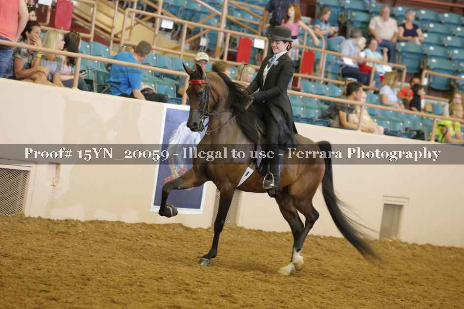 Proof 15YN_20059