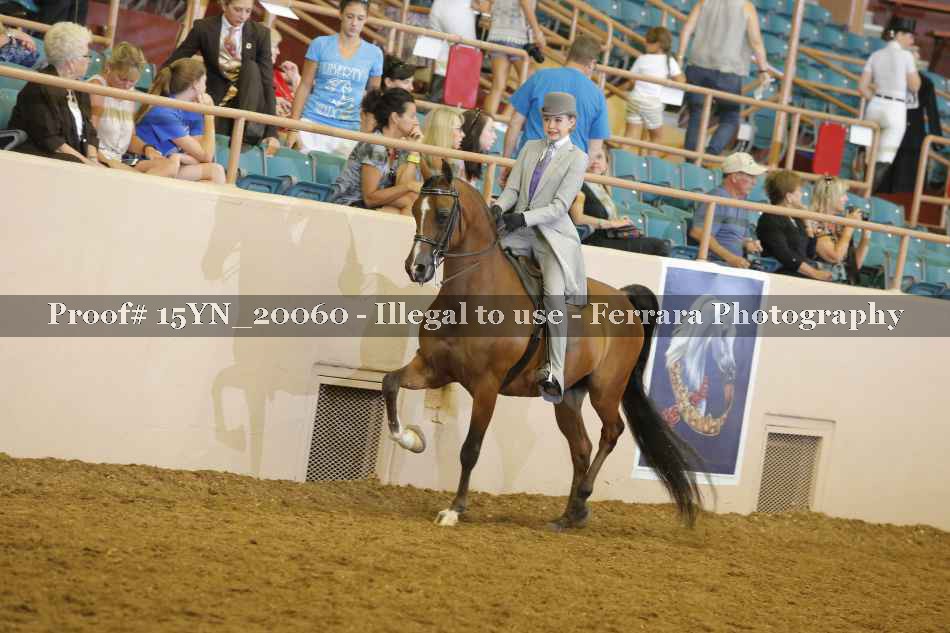 Proof 15YN_20060