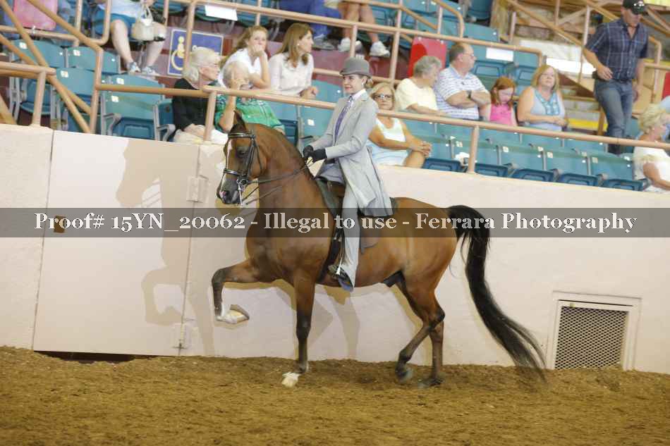 Proof 15YN_20062