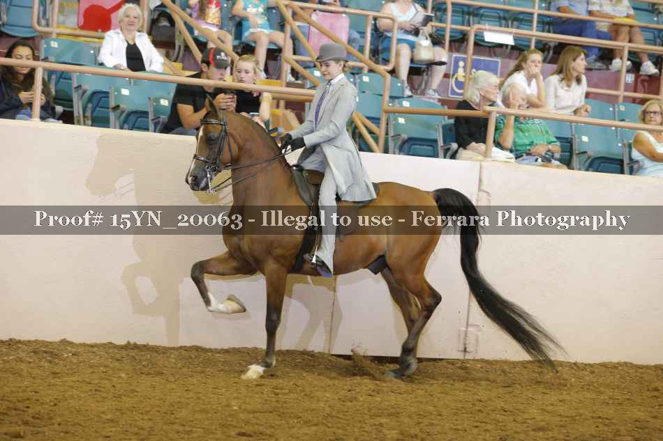Proof 15YN_20063