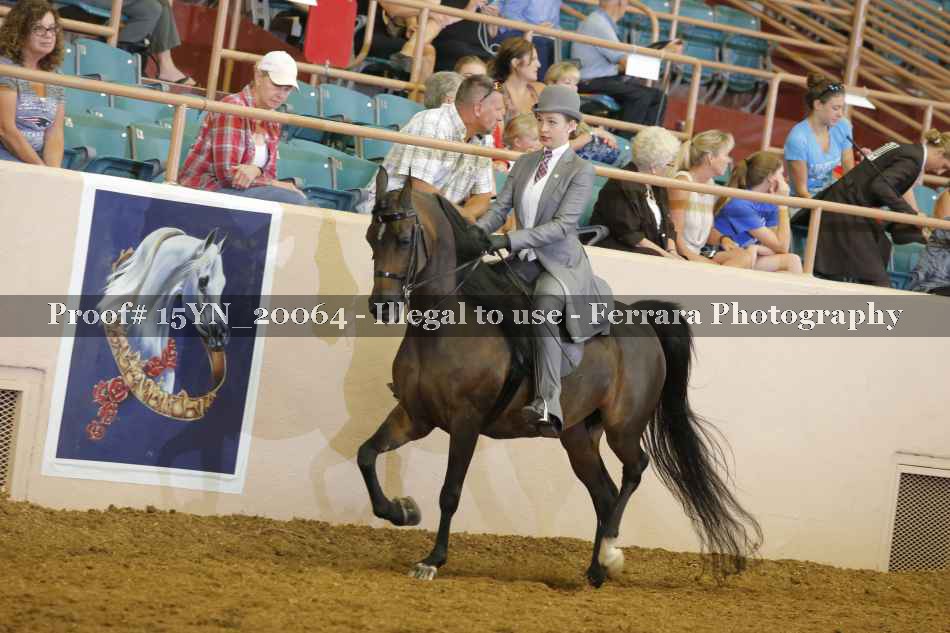 Proof 15YN_20064