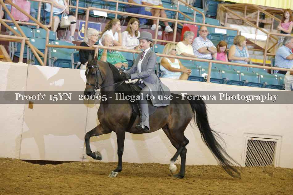 Proof 15YN_20065
