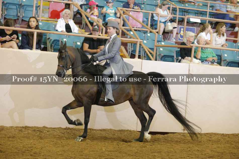 Proof 15YN_20066