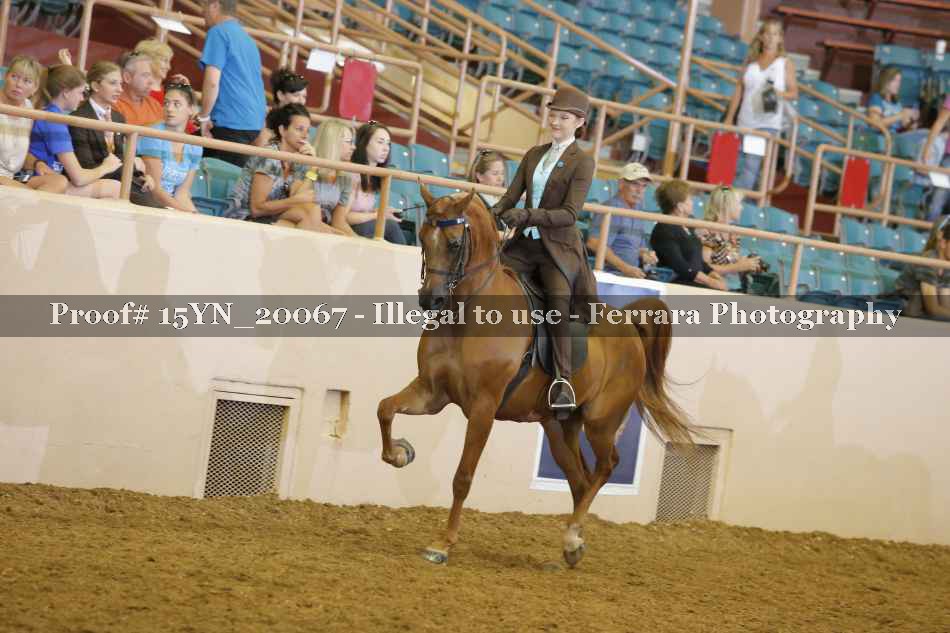 Proof 15YN_20067