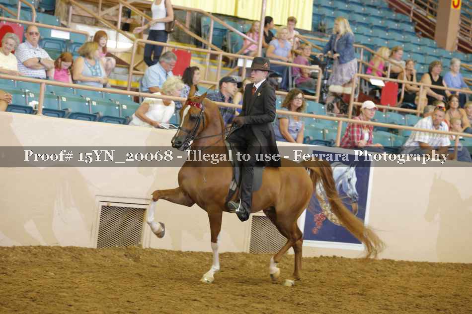 Proof 15YN_20068