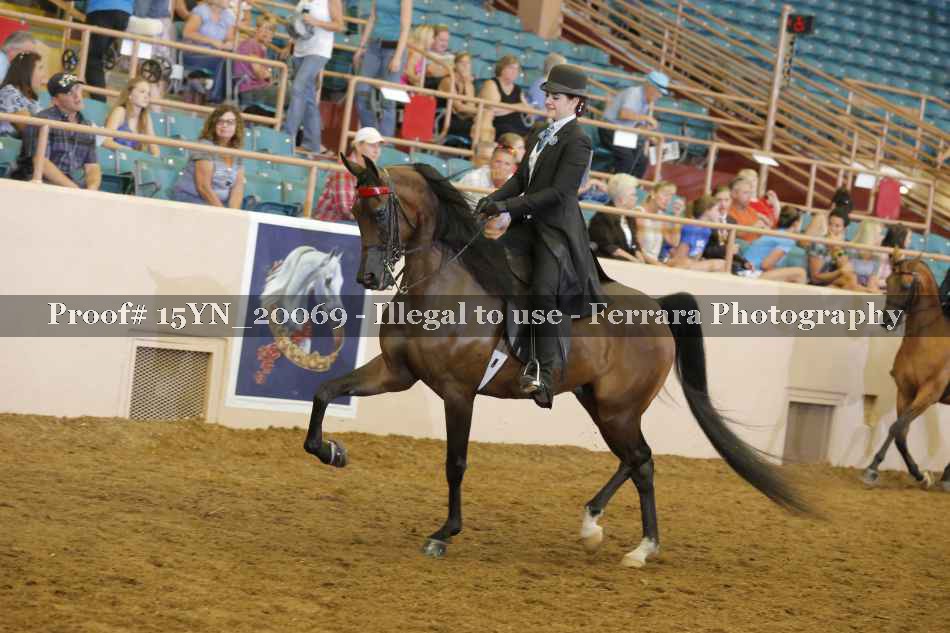 Proof 15YN_20069