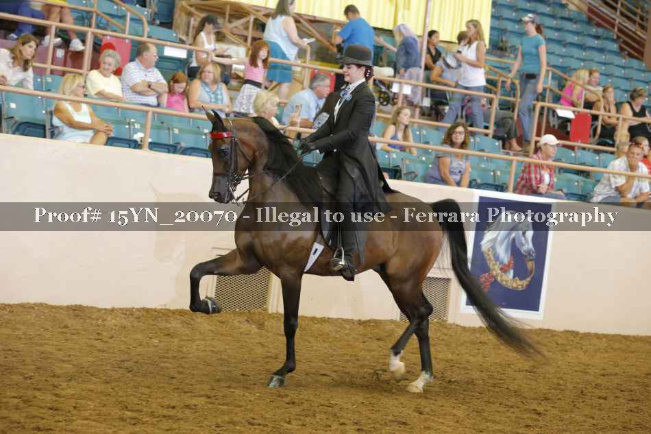 Proof 15YN_20070