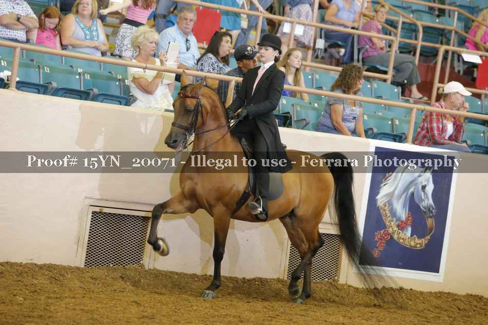 Proof 15YN_20071