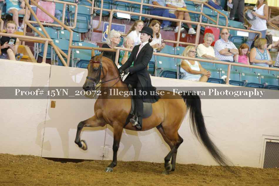 Proof 15YN_20072