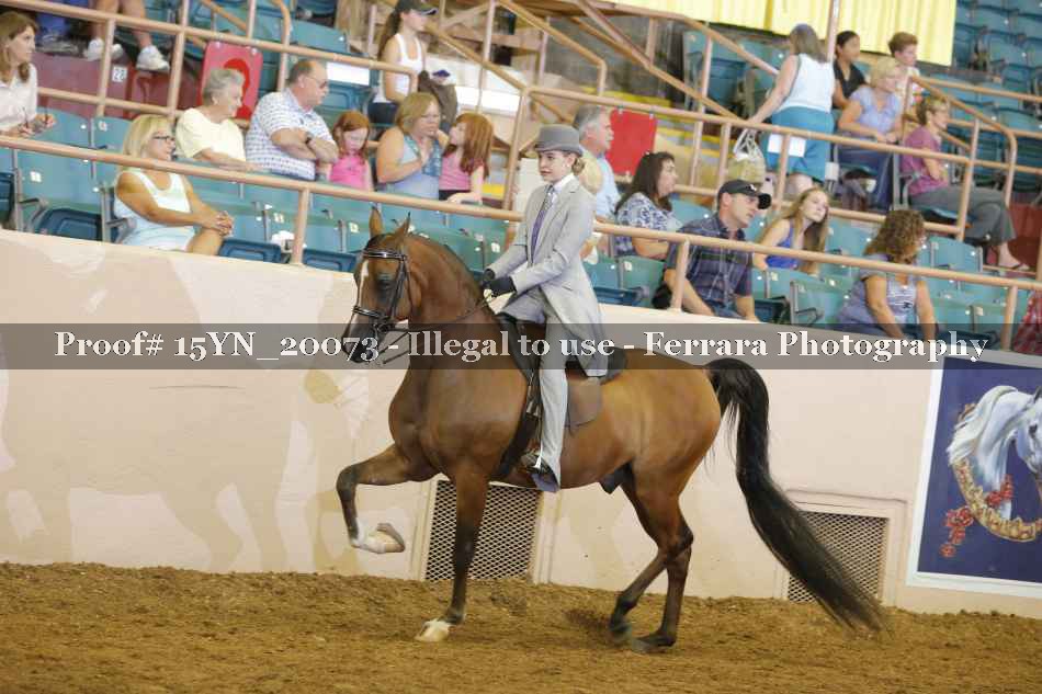Proof 15YN_20073