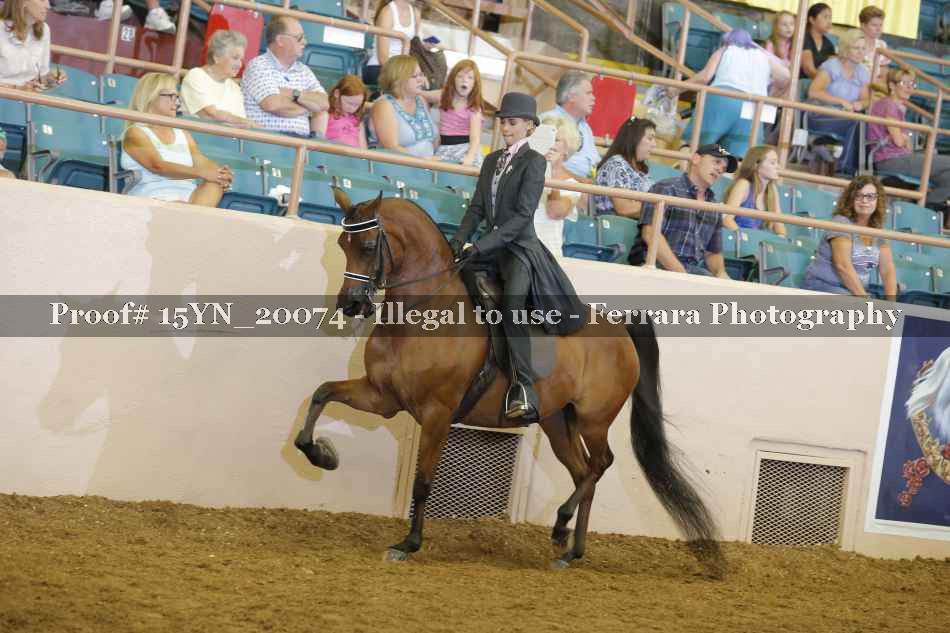Proof 15YN_20074