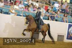 15YN_20074 proof
