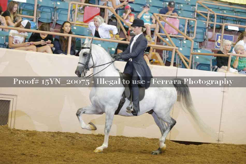 Proof 15YN_20075