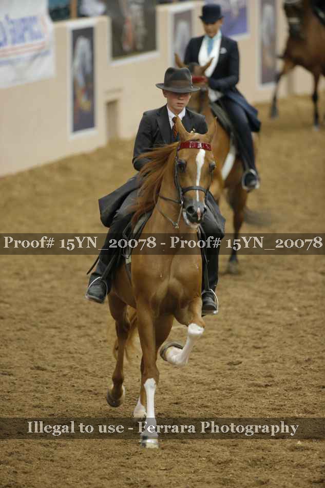 Proof 15YN_20078