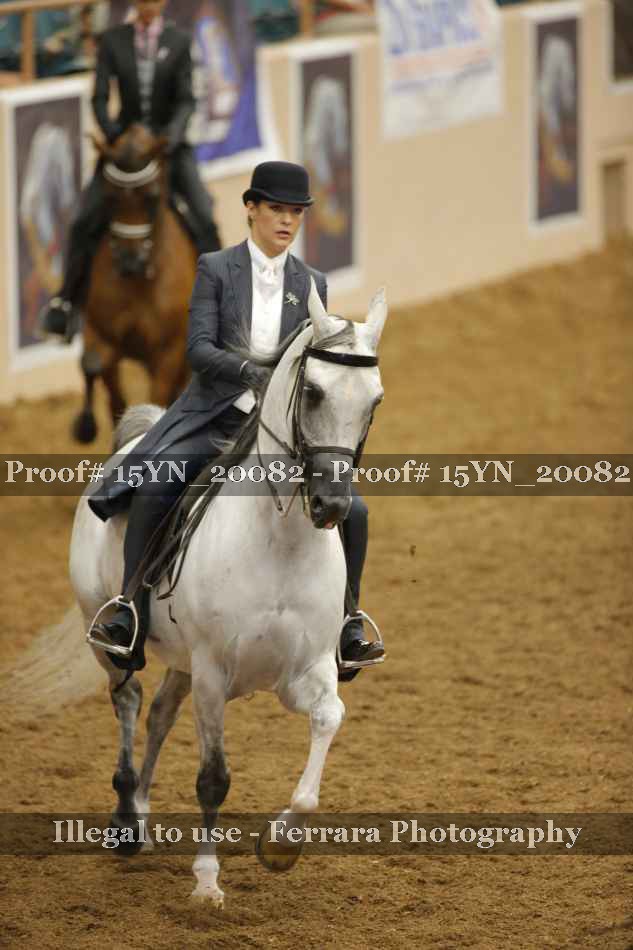 Proof 15YN_20082