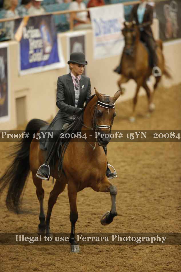 Proof 15YN_20084