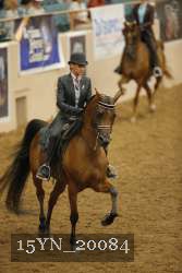 15YN_20084 proof