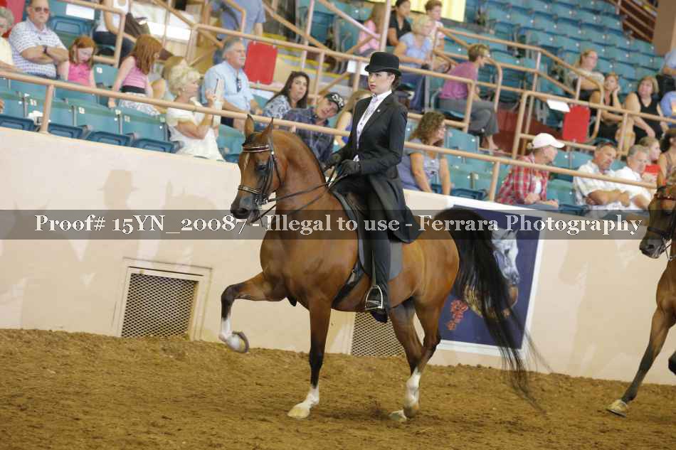 Proof 15YN_20087
