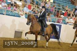15YN_20087 proof