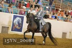 15YN_20088 proof
