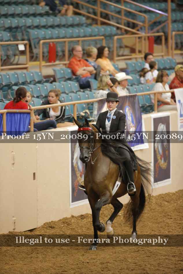 Proof 15YN_20089