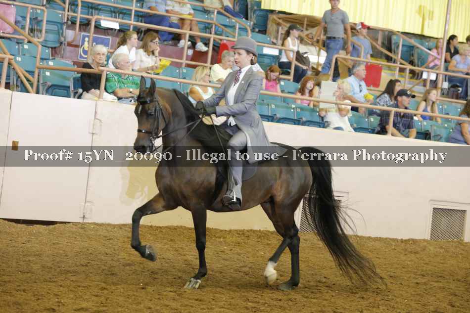 Proof 15YN_20090