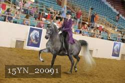 15YN_20091 proof