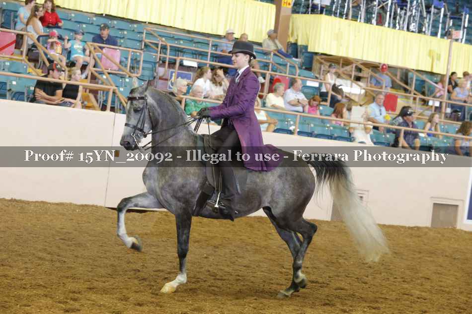 Proof 15YN_20092