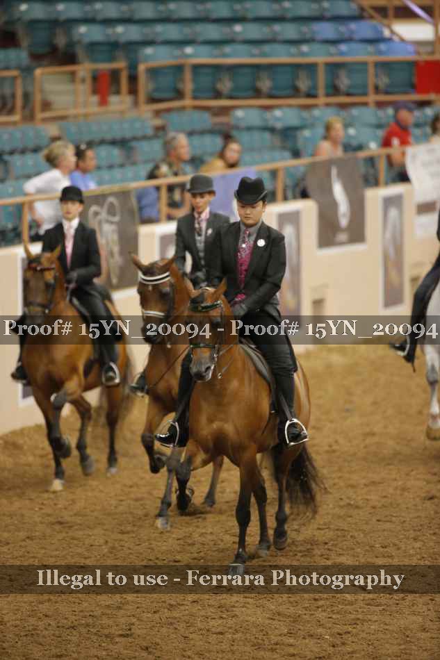 Proof 15YN_20094