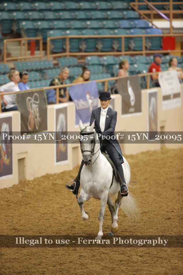Proof 15YN_20095
