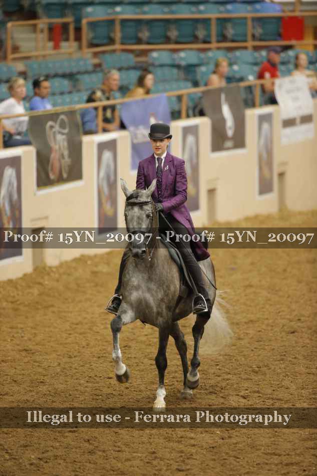 Proof 15YN_20097