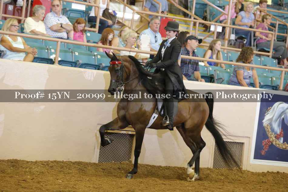Proof 15YN_20099