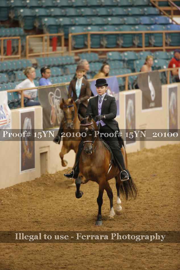 Proof 15YN_20100