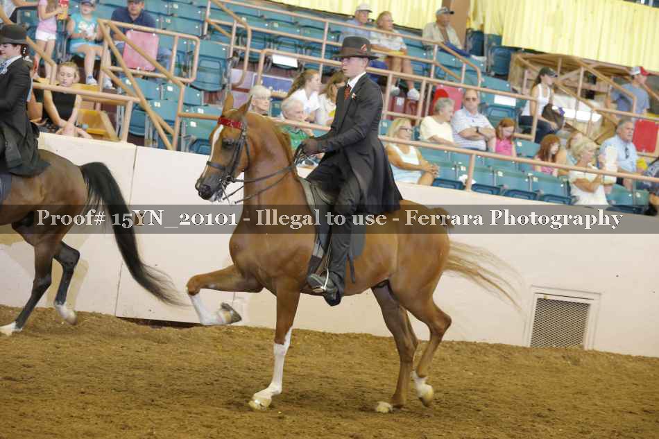 Proof 15YN_20101