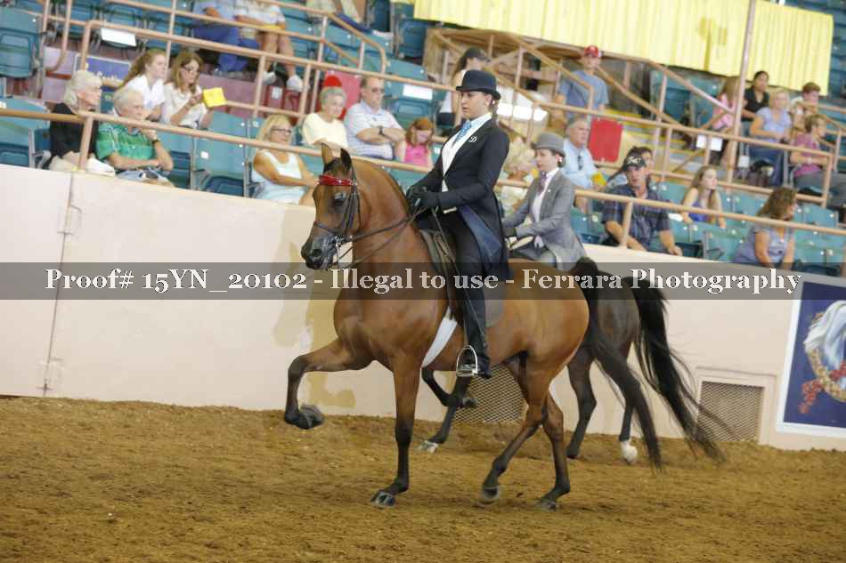 Proof 15YN_20102