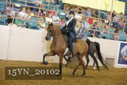 15YN_20102 proof