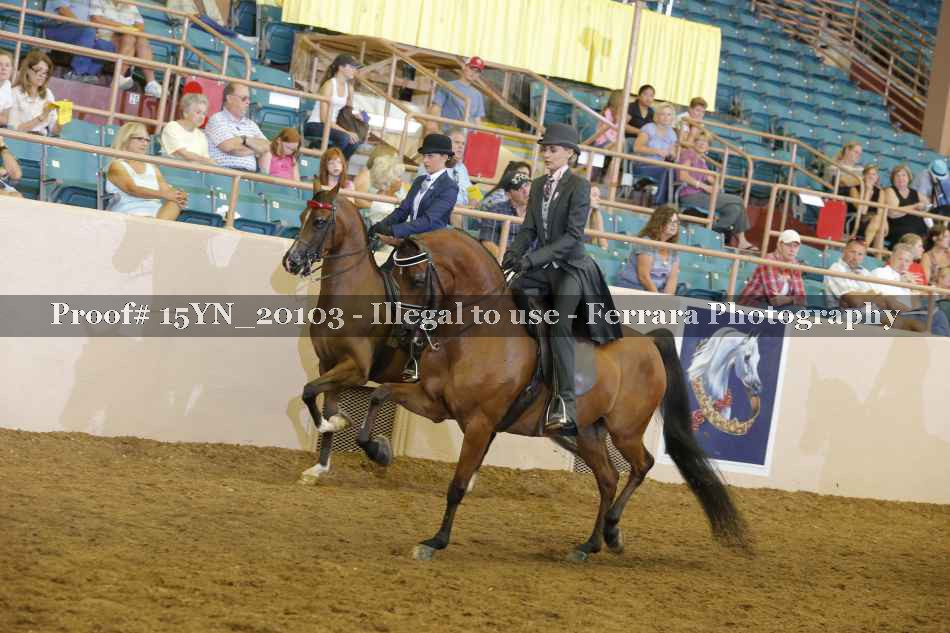 Proof 15YN_20103