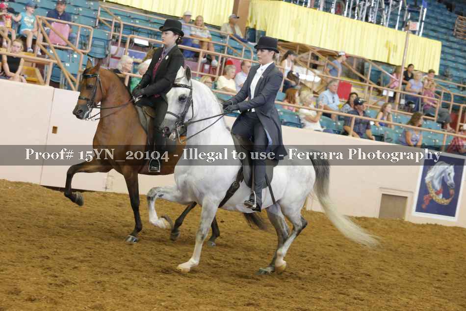 Proof 15YN_20104