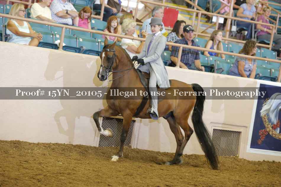 Proof 15YN_20105