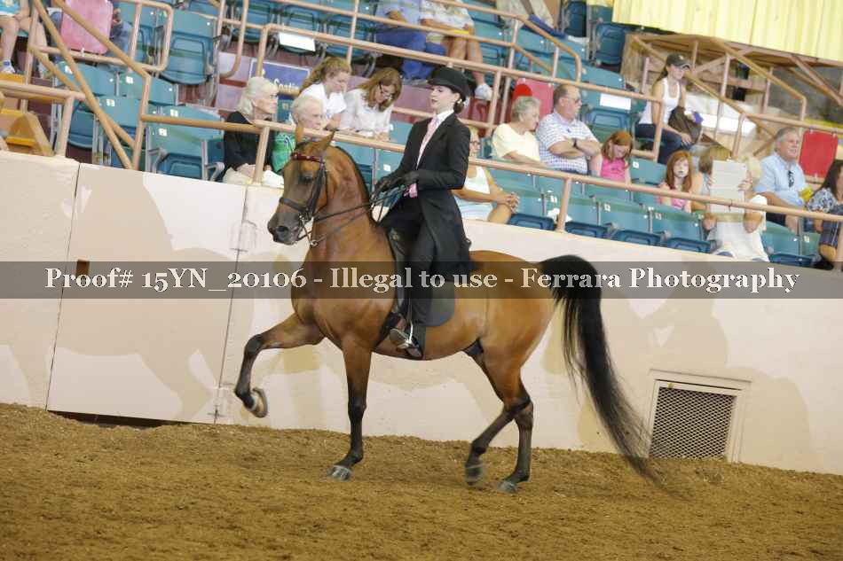 Proof 15YN_20106