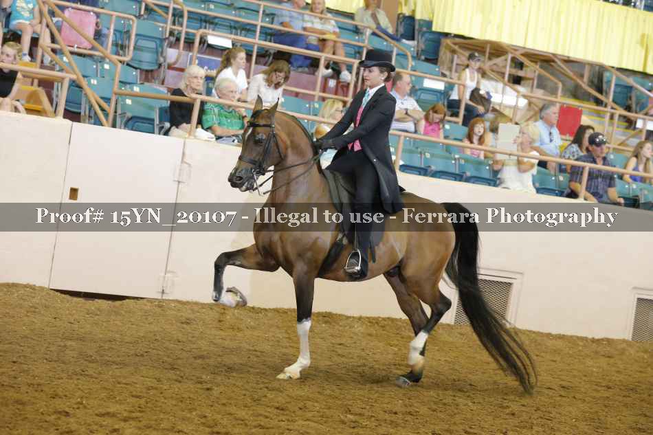 Proof 15YN_20107