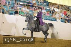 15YN_20108 proof