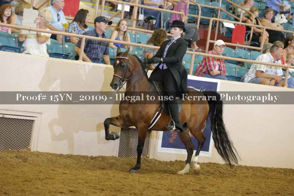 Proof 15YN_20109