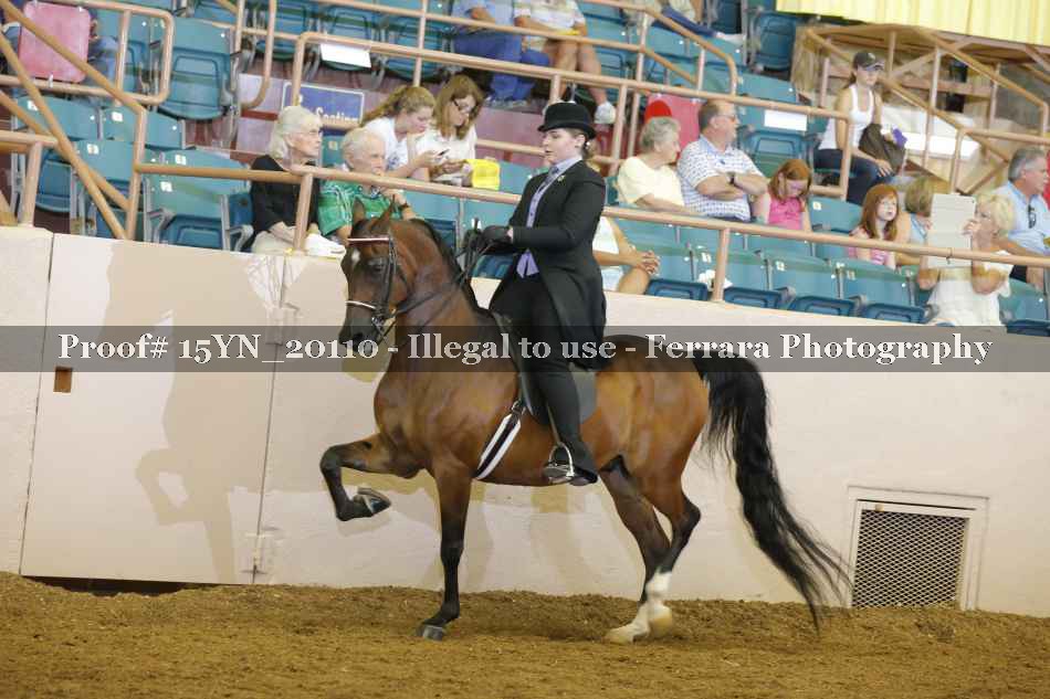 Proof 15YN_20110