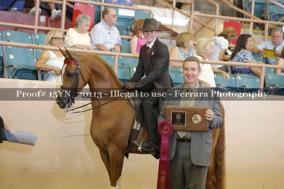 Proof 15YN_20113