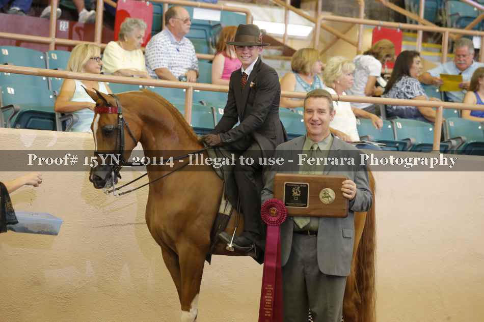 Proof 15YN_20114