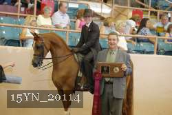 15YN_20114 proof